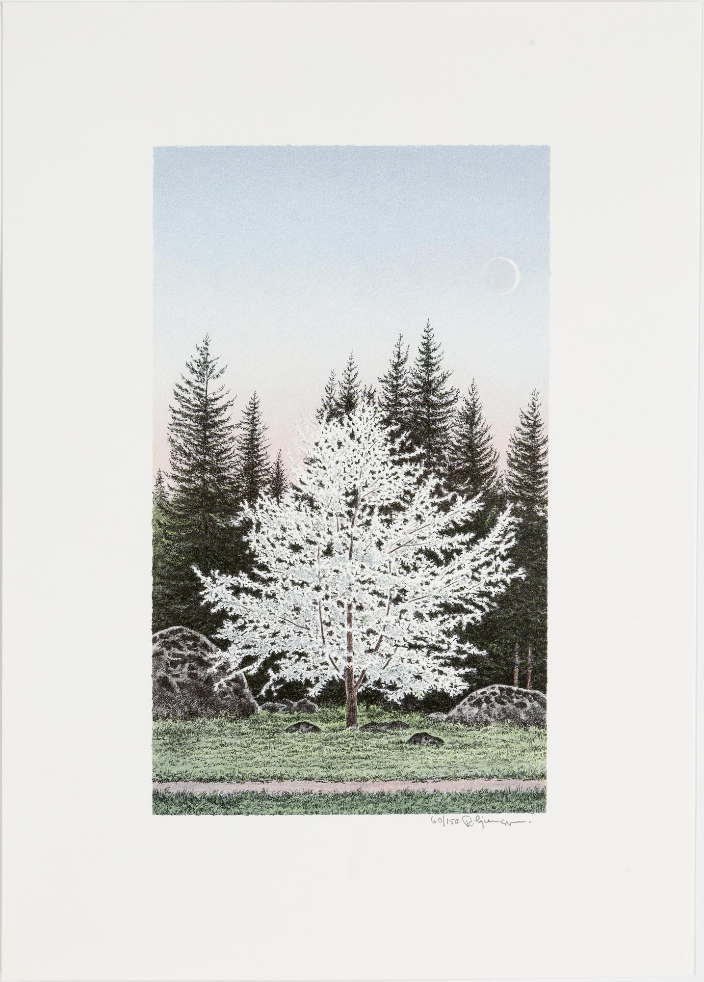 REINHOLD LJUNGGREN, a folder with 6 lithographs, signed and numbered 60/150.