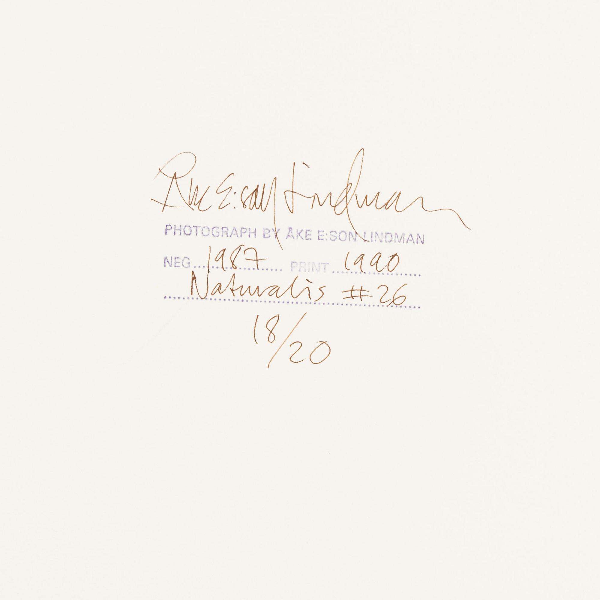 Åke E:son Lindman & Sven Westerlund, portfolio, 2 + 2 photos, signed 18/20.