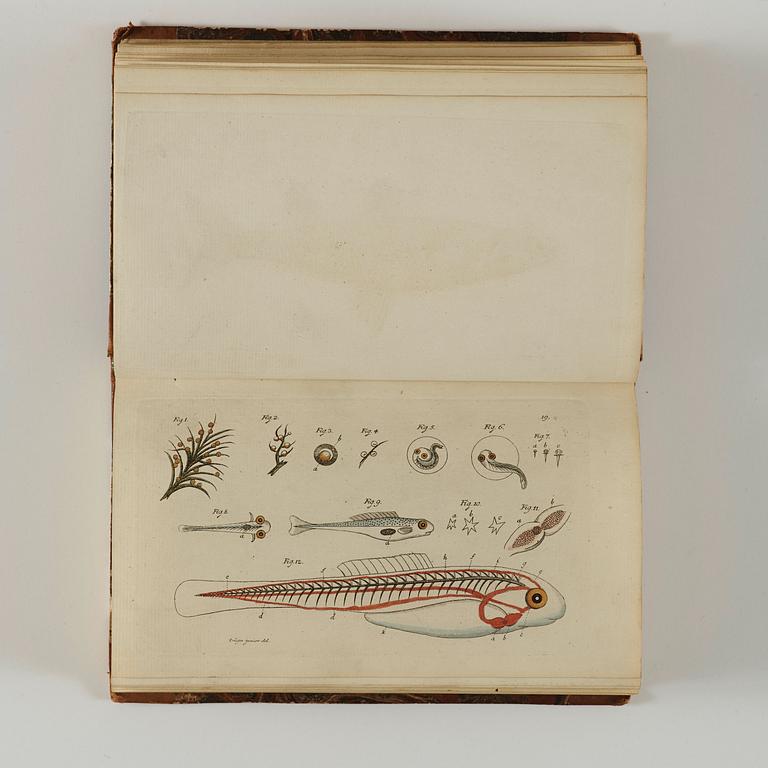 MARC ÉLIÉSER BLOCH (1723-1799), 6 vol, Ichthyologie ou Histoire Naturelle des Poissons, Berlin 1796.