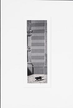 Kristoffer Albrecht, motif from France, 2002.