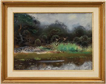 Lindorm Liljefors, "Lyftande änder".