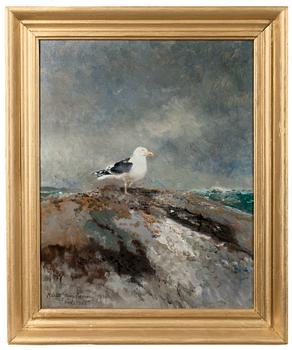 Mosse Stoopendaal, BACKED GULL.