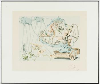 Salvador Dalí, Salvador Dali, lithograph, signed and numbered 137/250.
