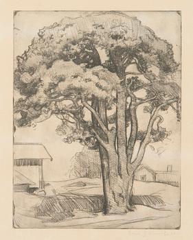 Eero Järnefelt, "Tallen från Tomasby I".