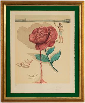 Salvador Dalí, a lithograph in colours, signed and numbered 120/125 in pencil.