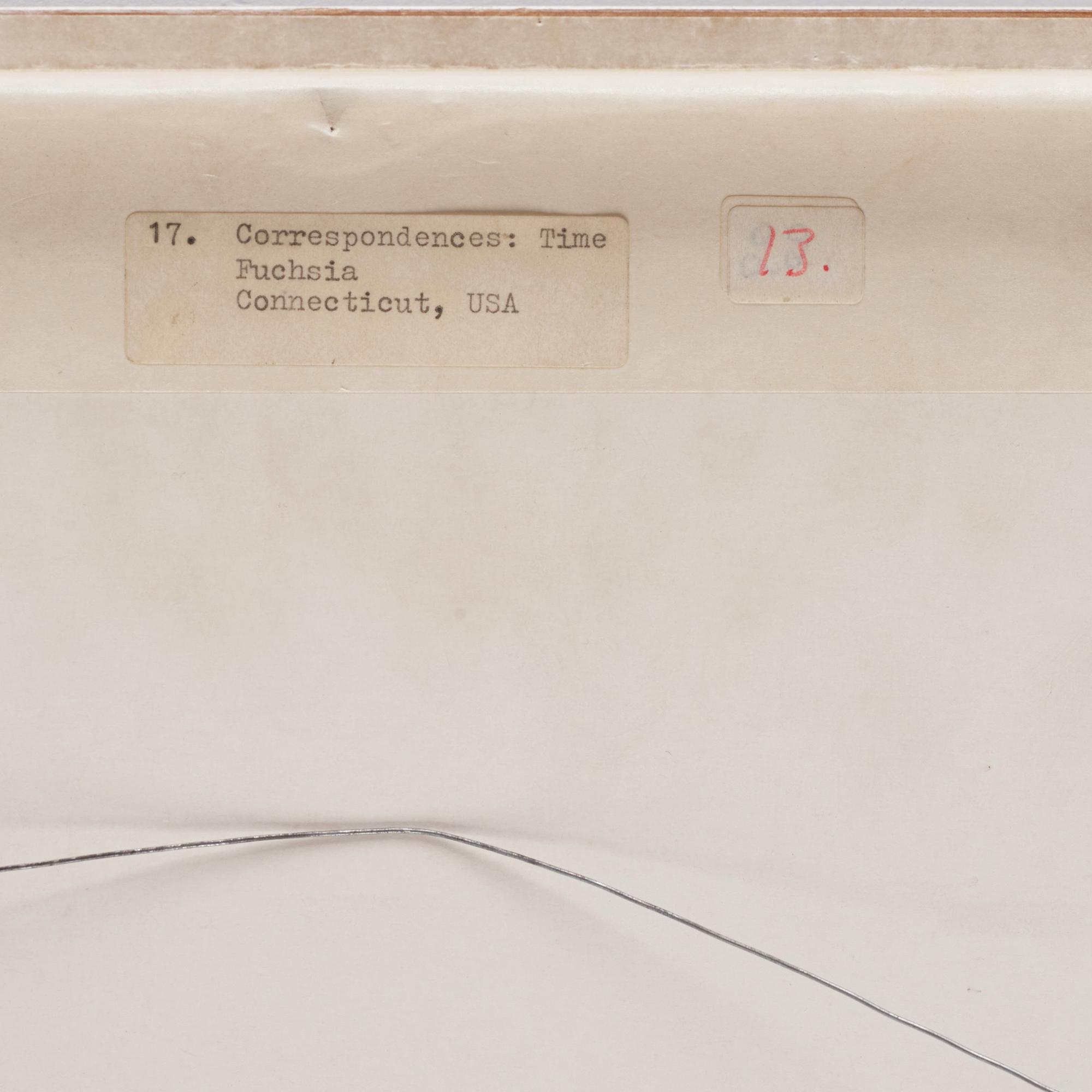 Michelle Stuart, "Correspondences: Time Connecticut Fuchsia".