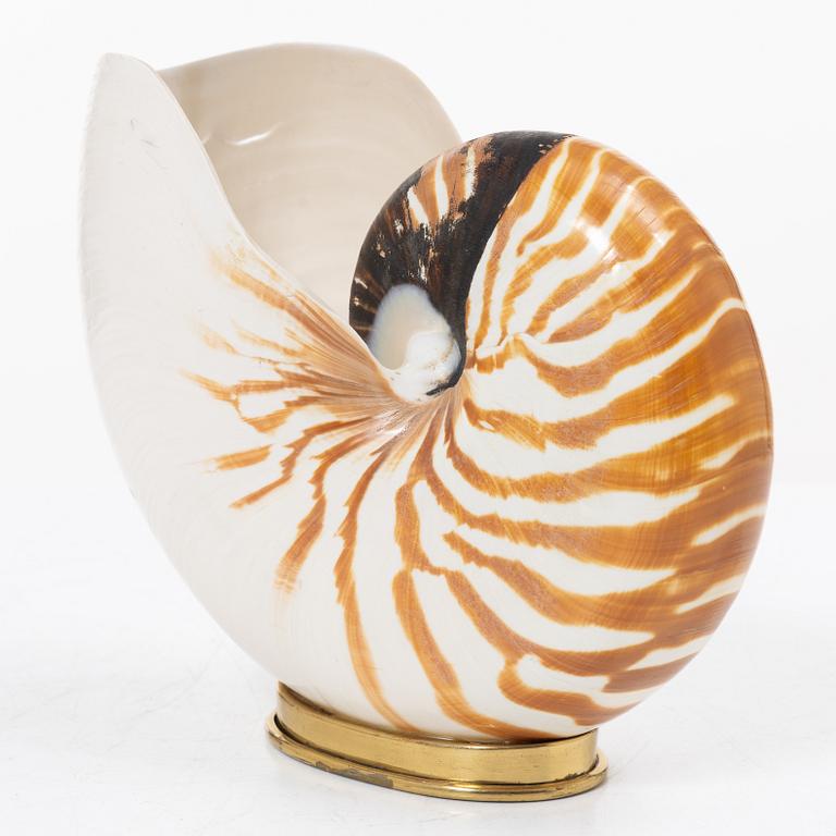 Firma Svenskt Tenn, shells 4 pcs, including one Nautilus shell with a brass mount.