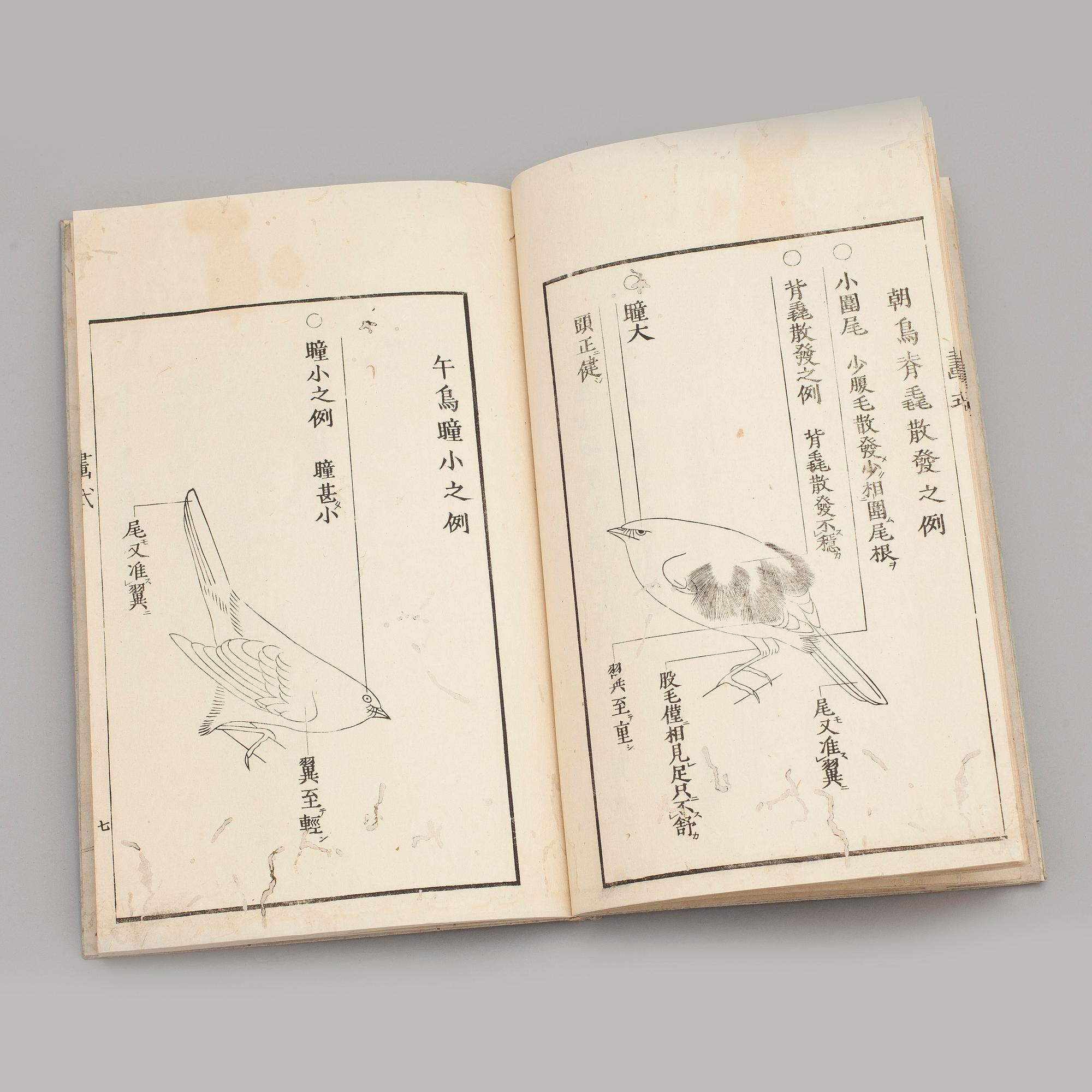 BOK, Kacho Gashiki, Tokyo 1814.