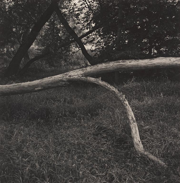 GUNNAR SMOLIANSKY, photograph signed on verso.