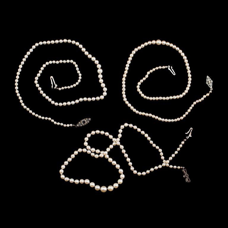 PÄRLCOLLIER, 3 st, doserade, silverlås.