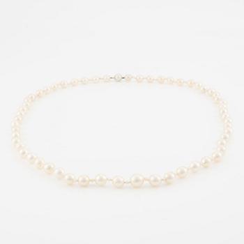 A cultured pearl necklace.