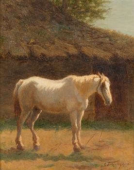 Charles Philogene Tschaggeny, White horse.