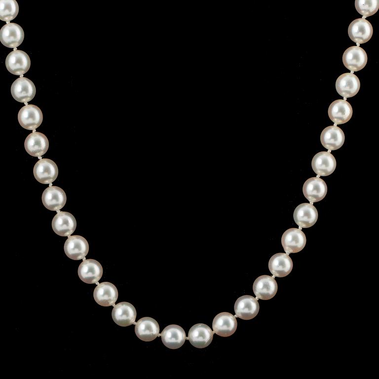 Cultured pearl necklace, clasp.