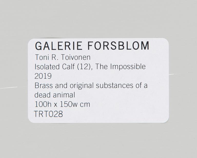Toni R. Toivonen, "Isolated Calf (12). The Impossible".