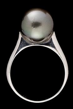 RING, 14k vitguld med Tahitipärla 11,1 mm.