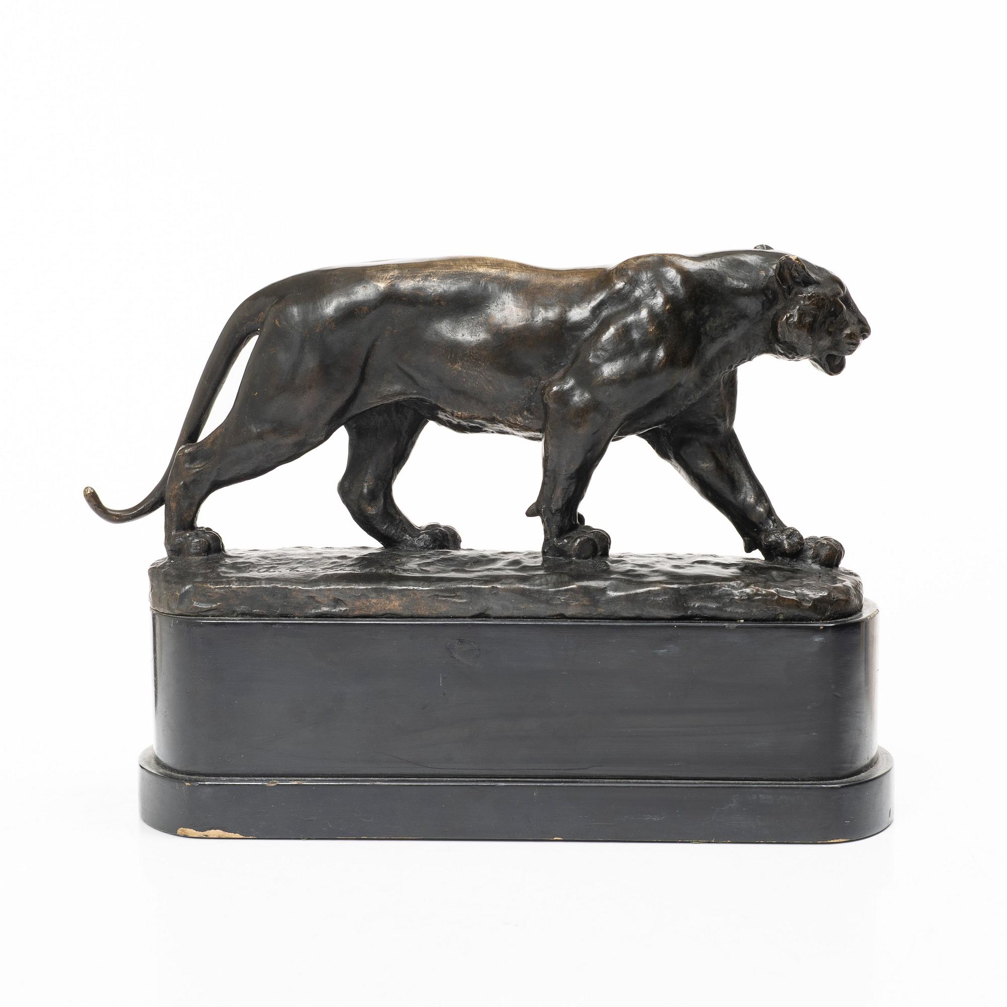 Johan Axel Wetterlund, Tiger.