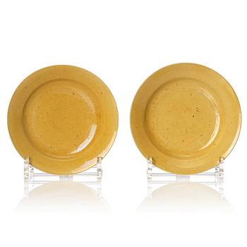 1079. A pair of yellow glazed dishes, Qing dynasty, Kangxi (1662-1722).