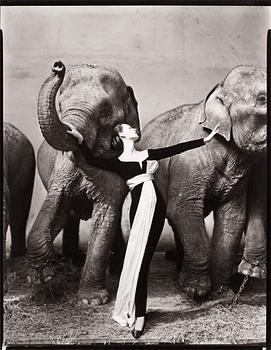 321. Richard Avedon, "Dovima with elephants, evening dress by Dior, Cirque d'Hiver, Paris, August 1955".