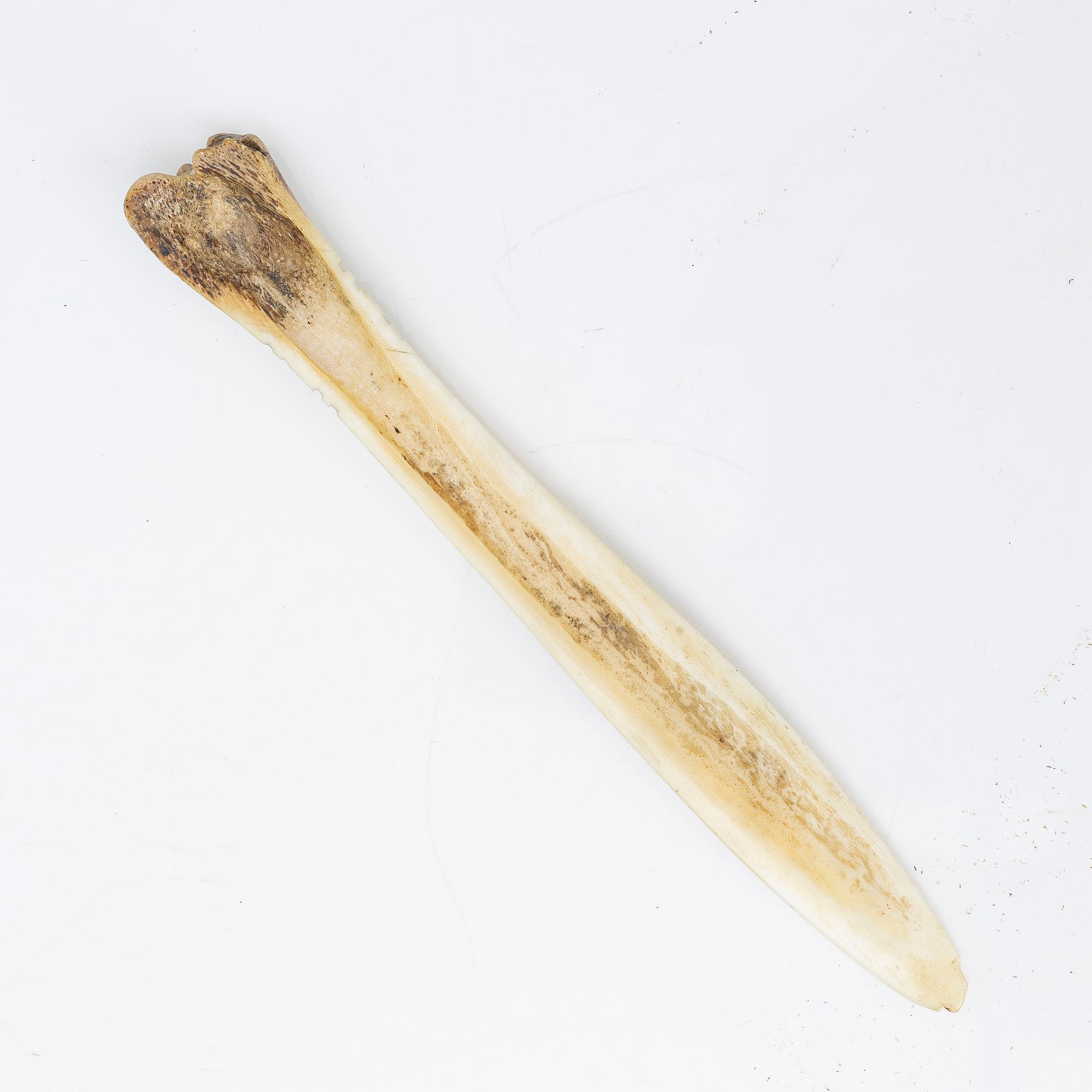 Half-horn knife and wooden cup, unidentified craftsmen.