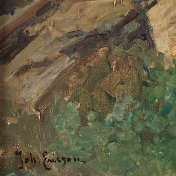 Johan Ericson, View from Marstrand.