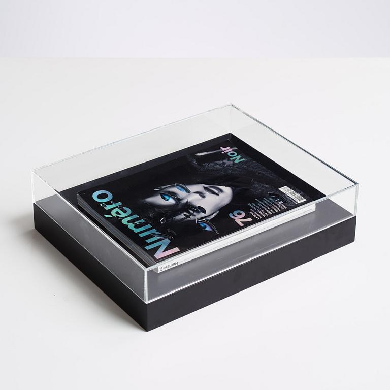 Anna Nordquist Andersson, "I see through you".