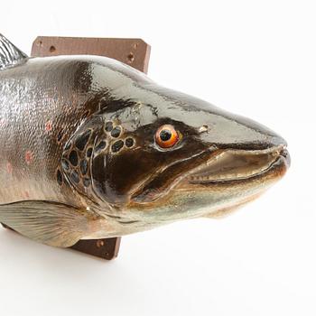 Fish sculpture "Brook Trout" 1967.