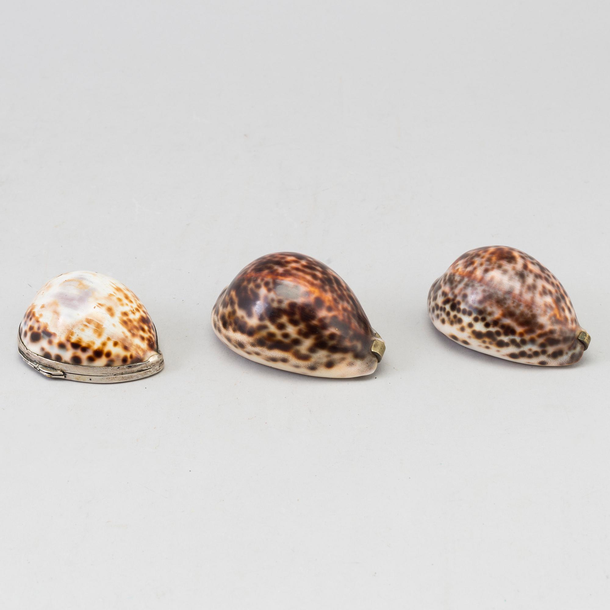 THREE COWRIE SHELL SNUFF BOXES, 19th century.