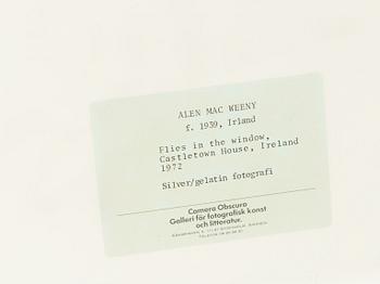 Alen MacWeeney, "Flies in the window" , 1972.