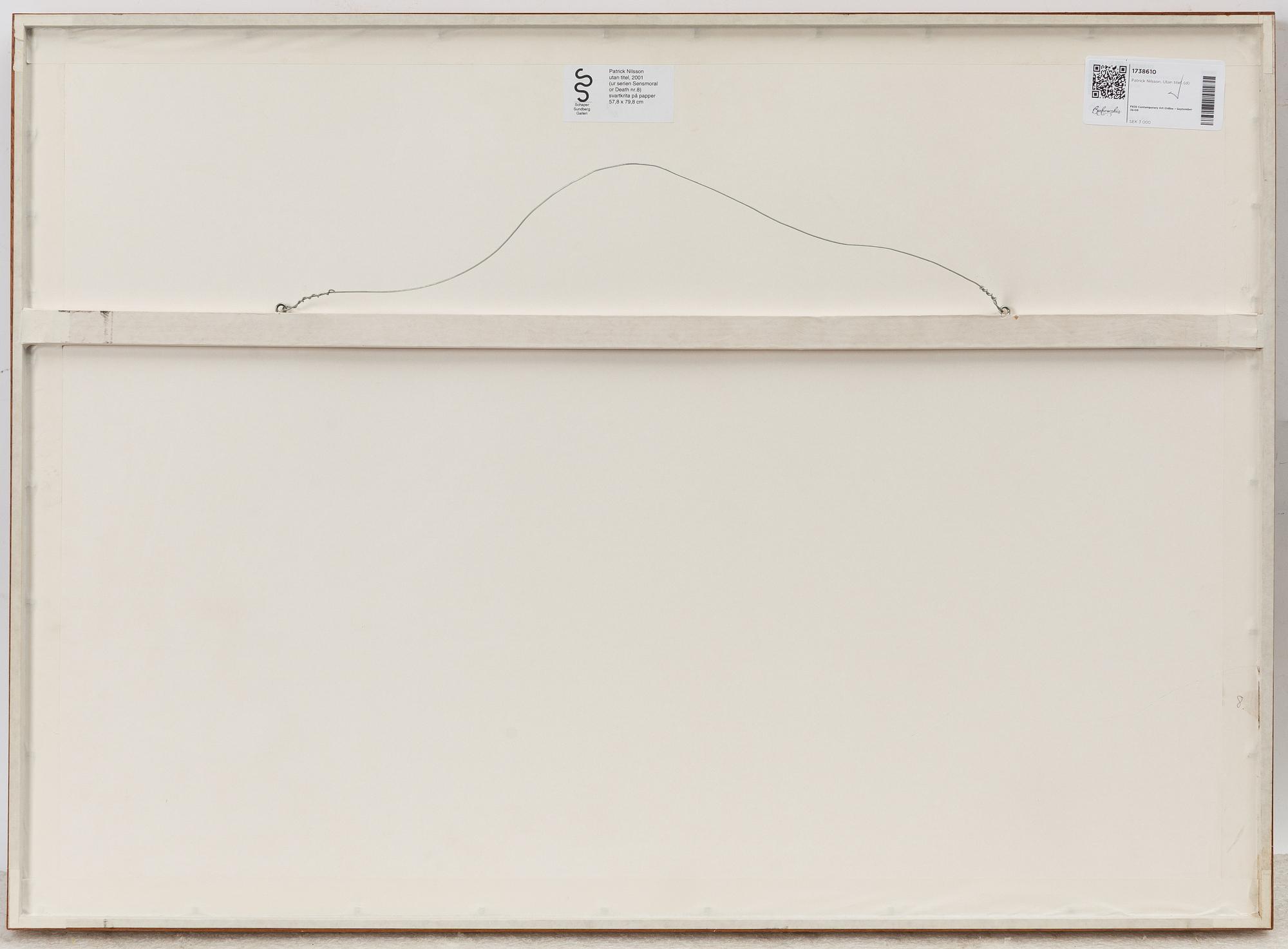 Patrick Nilsson, Untitled.