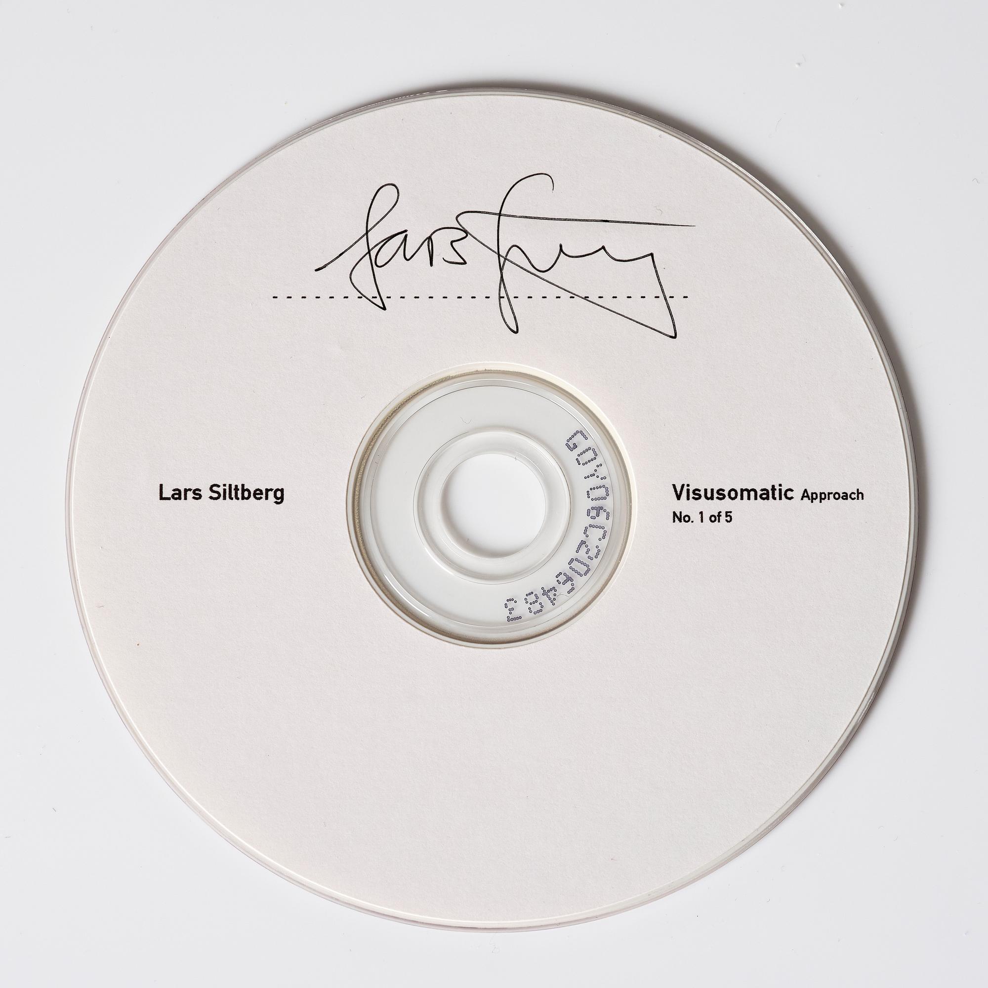 Lars Siltberg, "Visusomatic - approach", 2002.