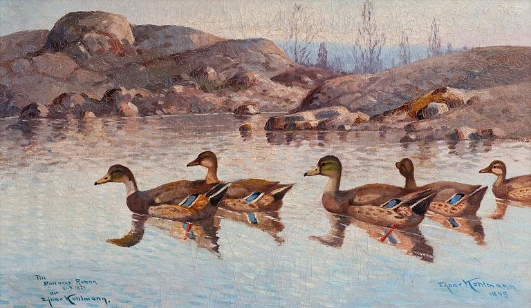 Ejnar Kohlmann, A FAMILY OF WILD DUCKS.