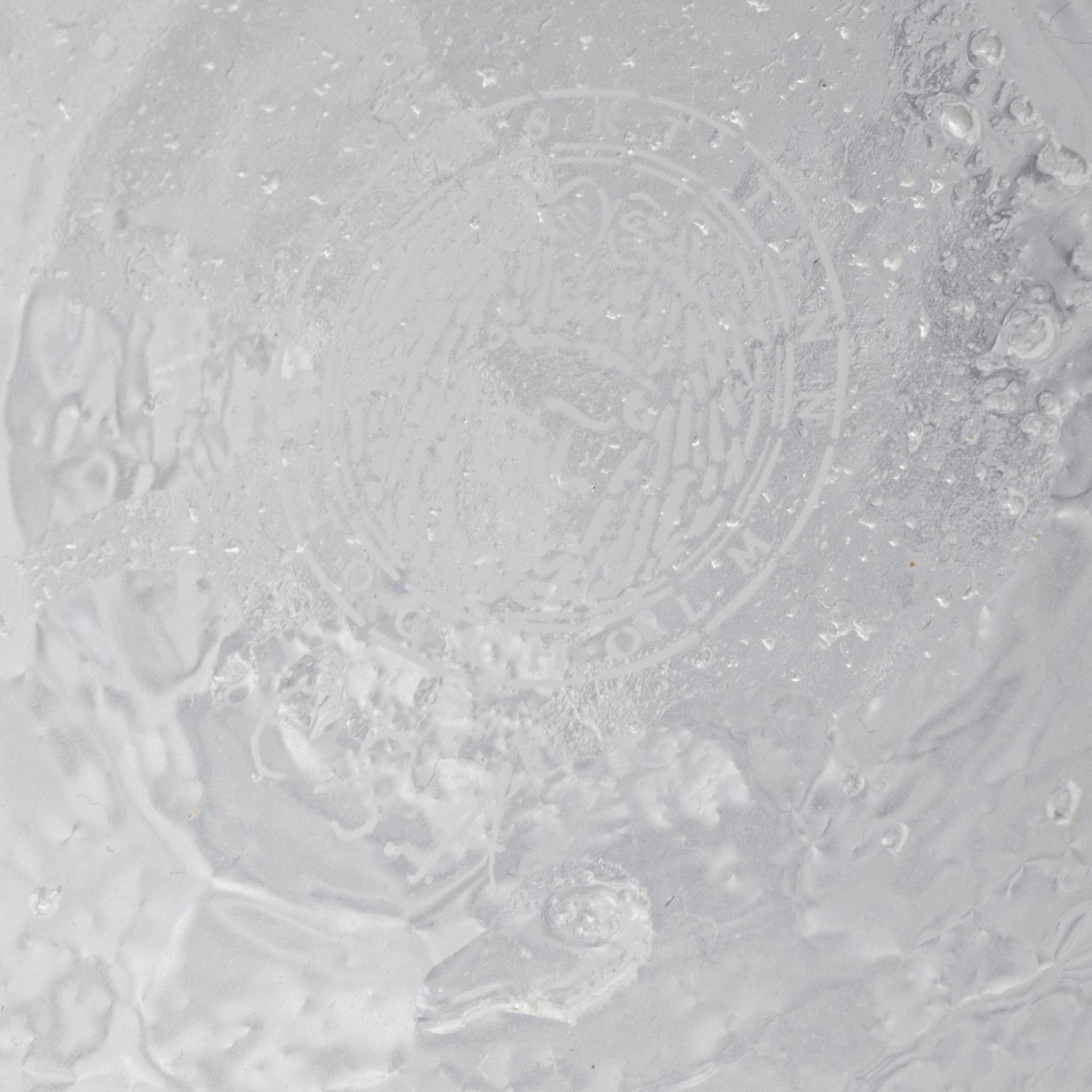 Carina Seth Andersson, vaser, ett par, glas "Dagg", Firma Svenskt Tenn,