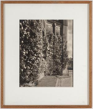 HENRY B. GOODWIN, tre fotografier signerade Goodwin och daterade 1928.