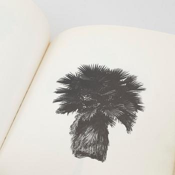 Edward Ruscha, "A few palm trees", 1971.