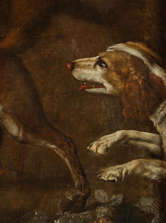 Ernst van Dalen, The sneaky fox.