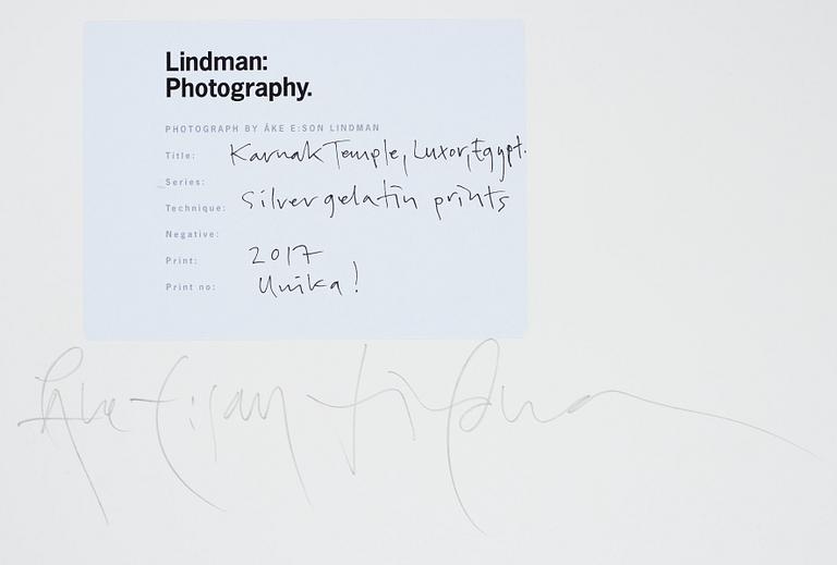Åke E:son Lindman, Diptyche photograph unique signed on verso.