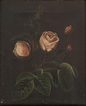 Danish school, 19th century, Pink roses.