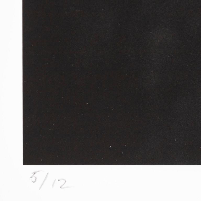 Albert Wiking, "Zara", 2015.