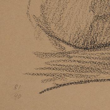 Helene Schjerfbeck, "Bilderboken".
