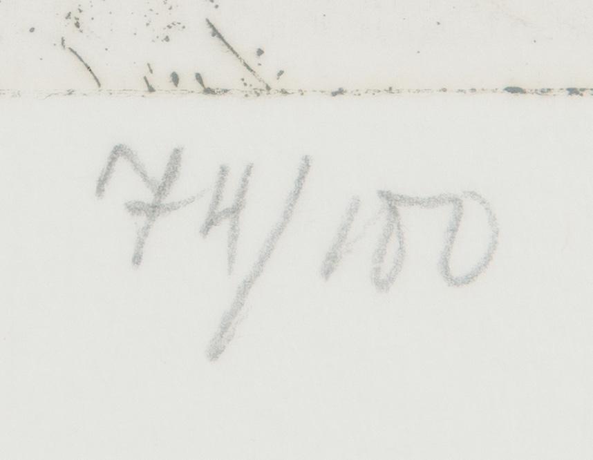 Outi Heiskanen, "Flygande dervisch".