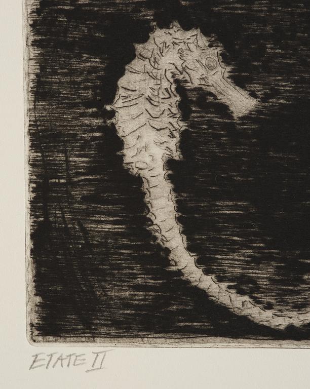 Hans Wigert, Sea horses.