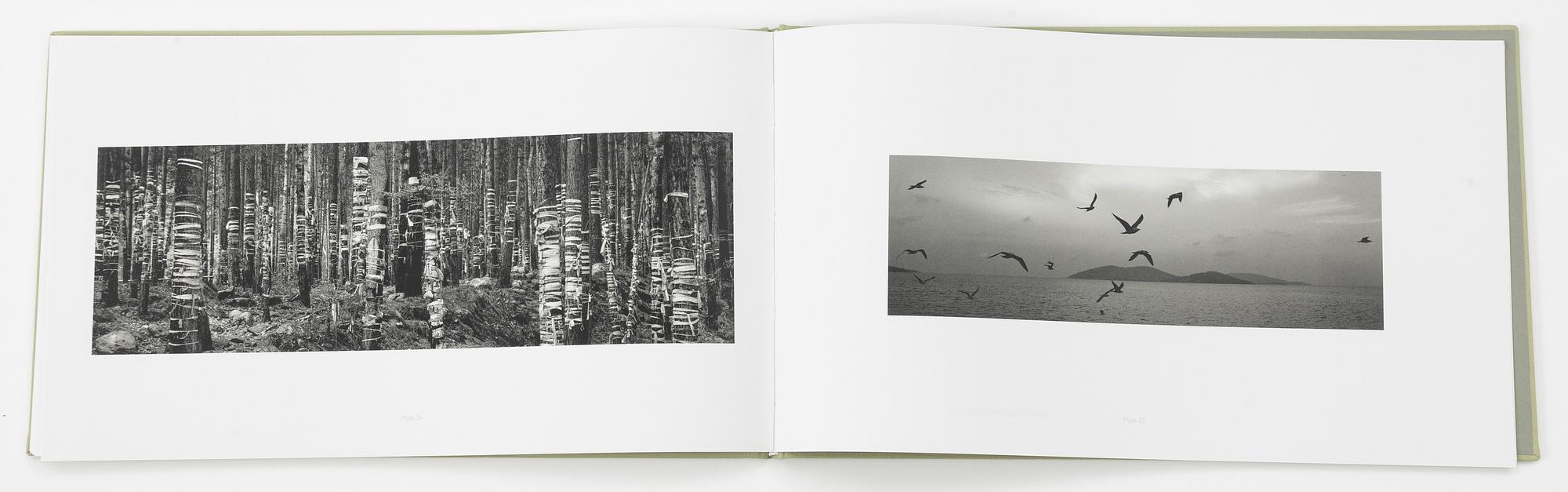 Pentti Sammallahti, "Sammallahti".