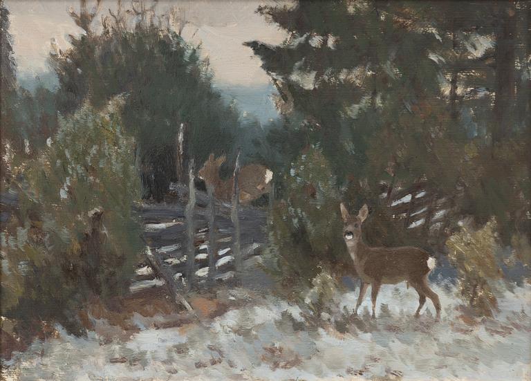 Harald Wiberg, Rådjur i vinterlandskap.