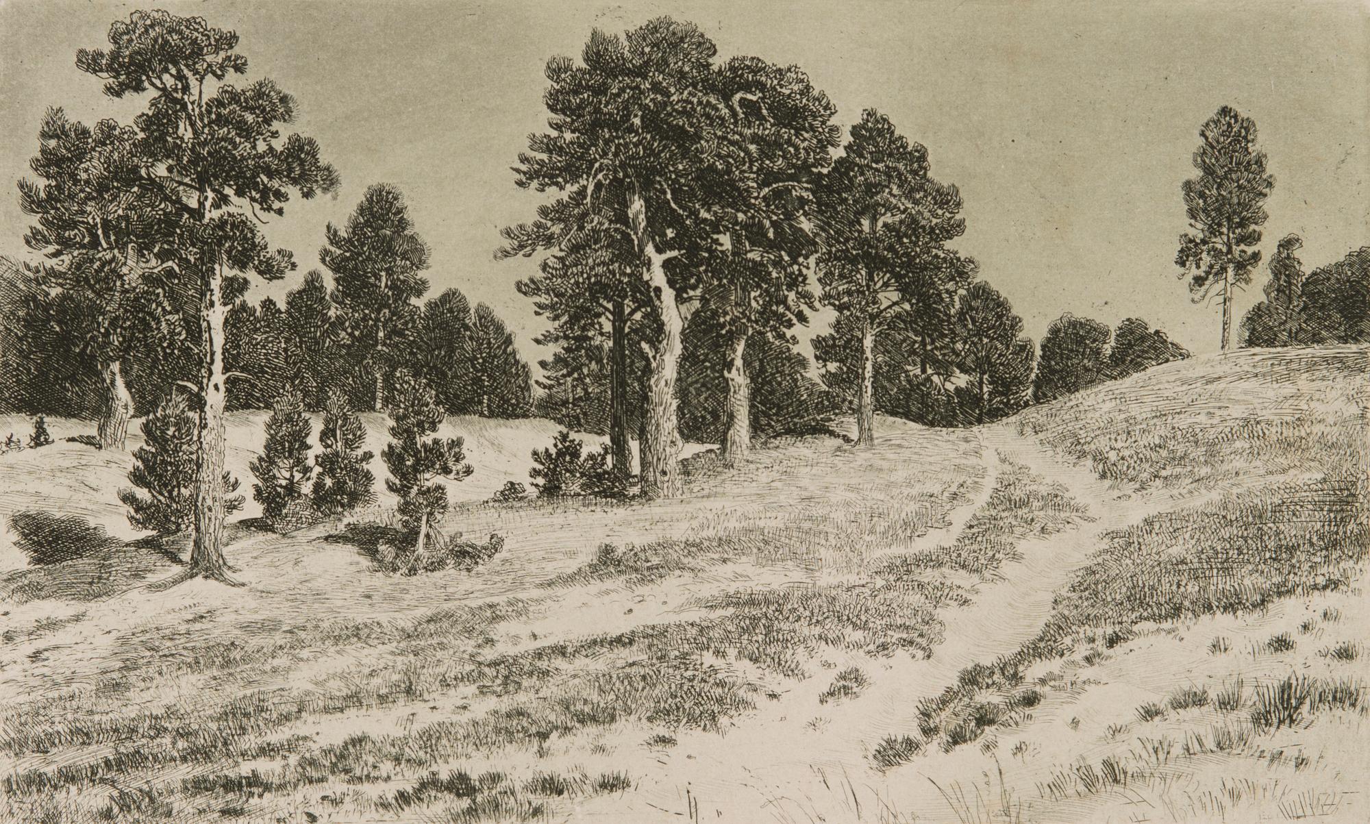 IVAN IVANOVITCH SHISHKIN, etching, plate signed and dated 86.