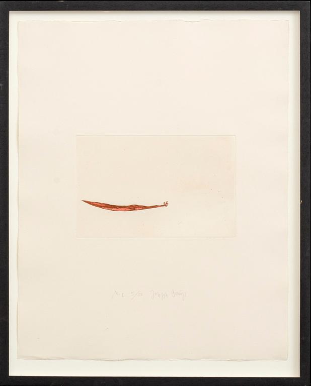 JOSEPH BEUYS, etching and aquatint signed and numbered HC 5/10.