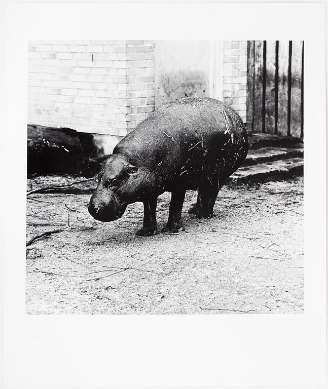 Per Maning, gelatin silver print, signed and dated -93 verso.