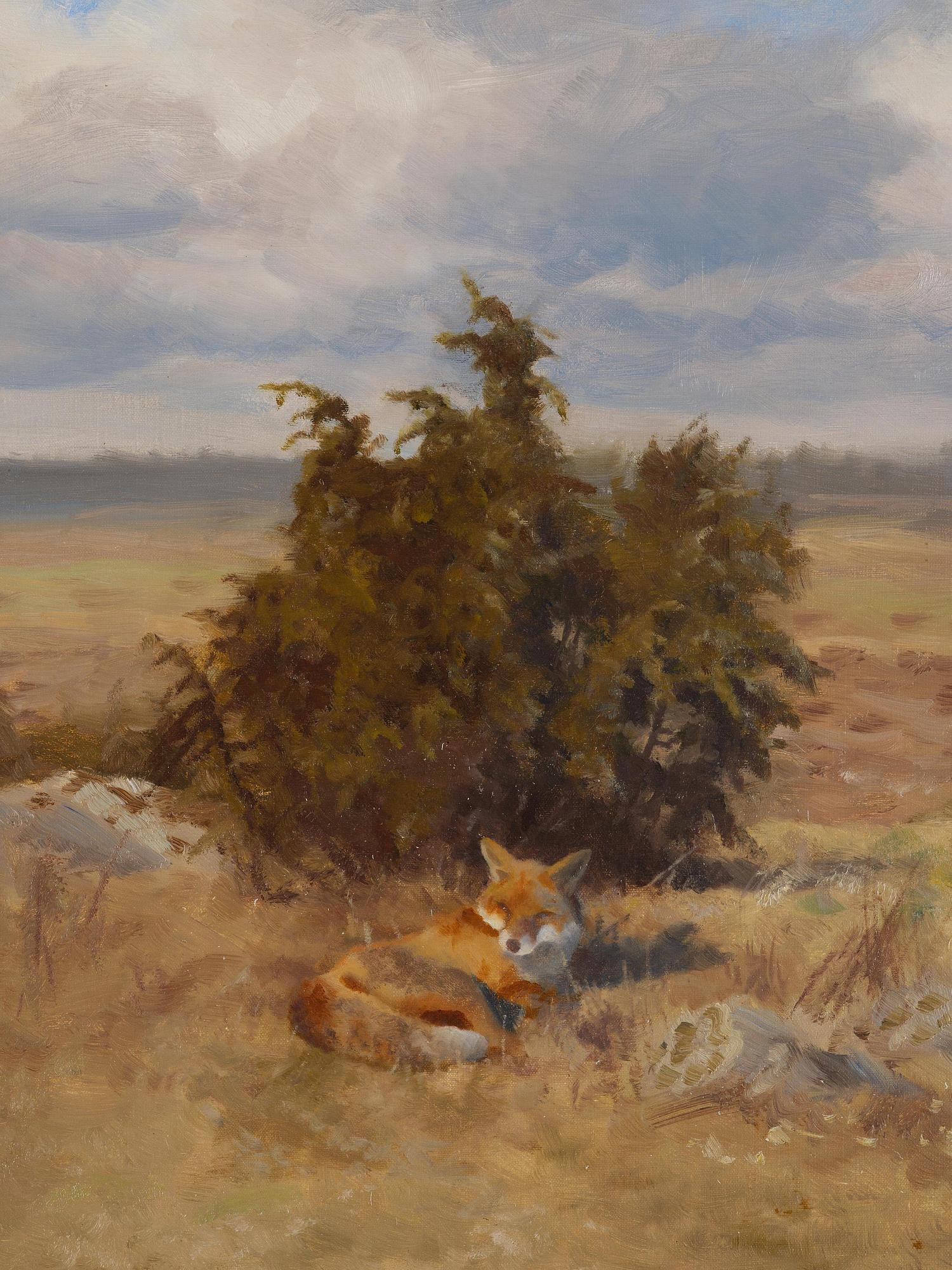 Bruno Liljefors, Resting fox.