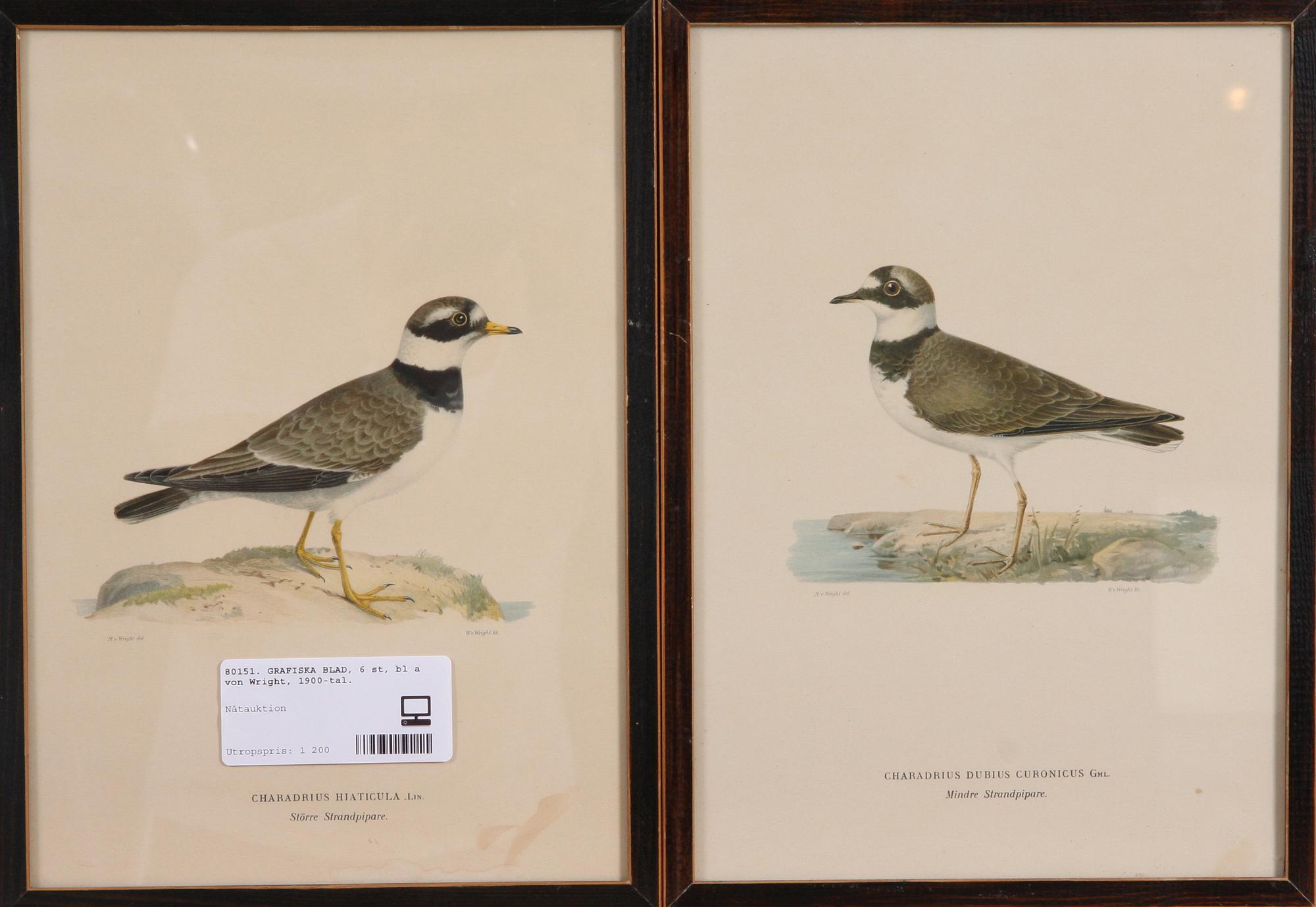 GRAFISKA BLAD, 6 st, bl a von Wright, 1900-tal.