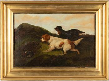 English school, 20th century, Hunting dogs.