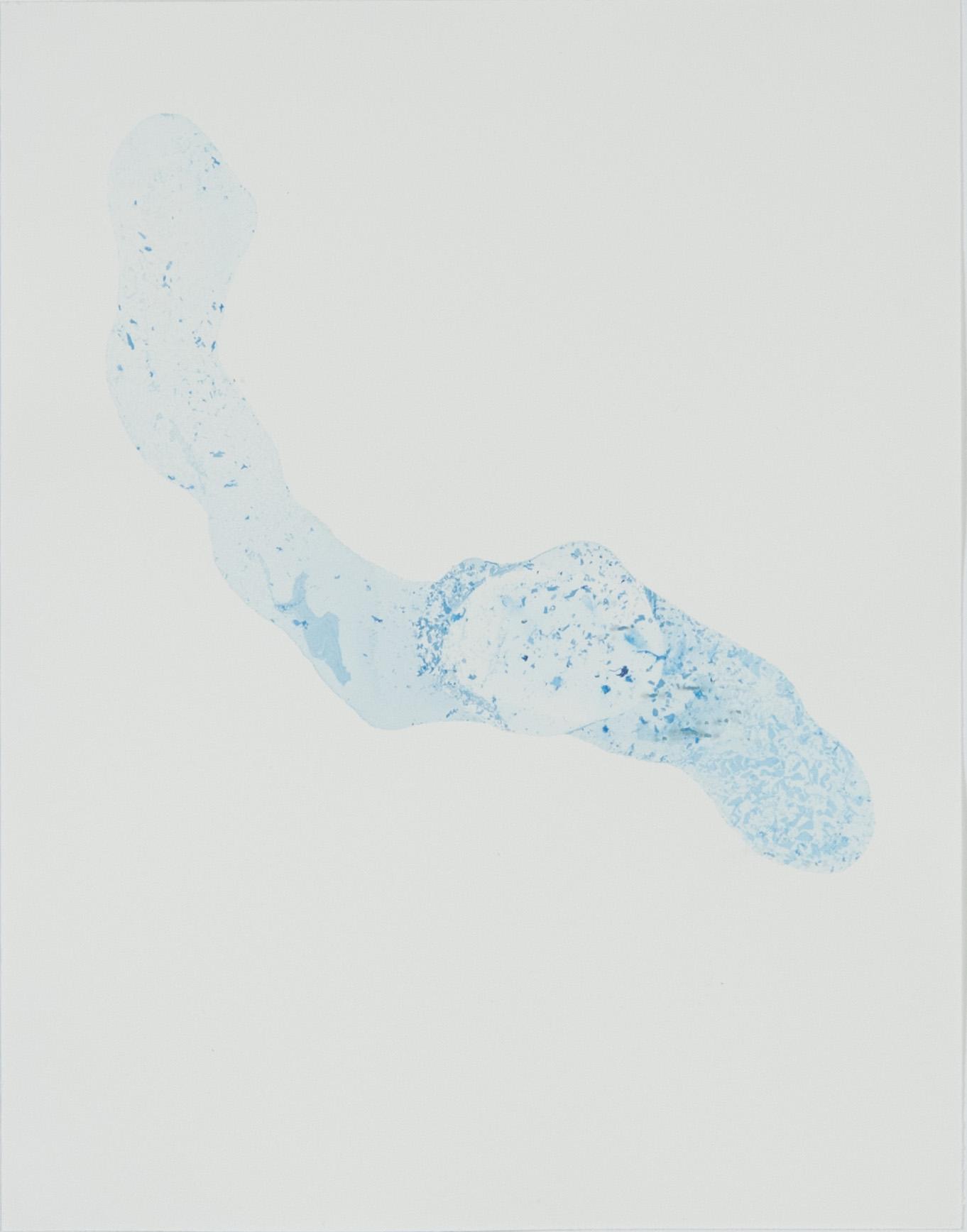 Sandra Vaka Olsen, ink pigment print, signed and dated 2012 verso. Ed 5/5.